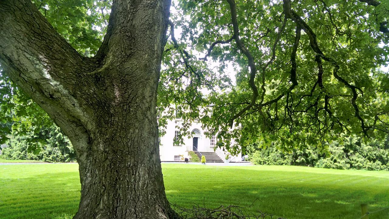 Augherea House Longford Kültér fotó